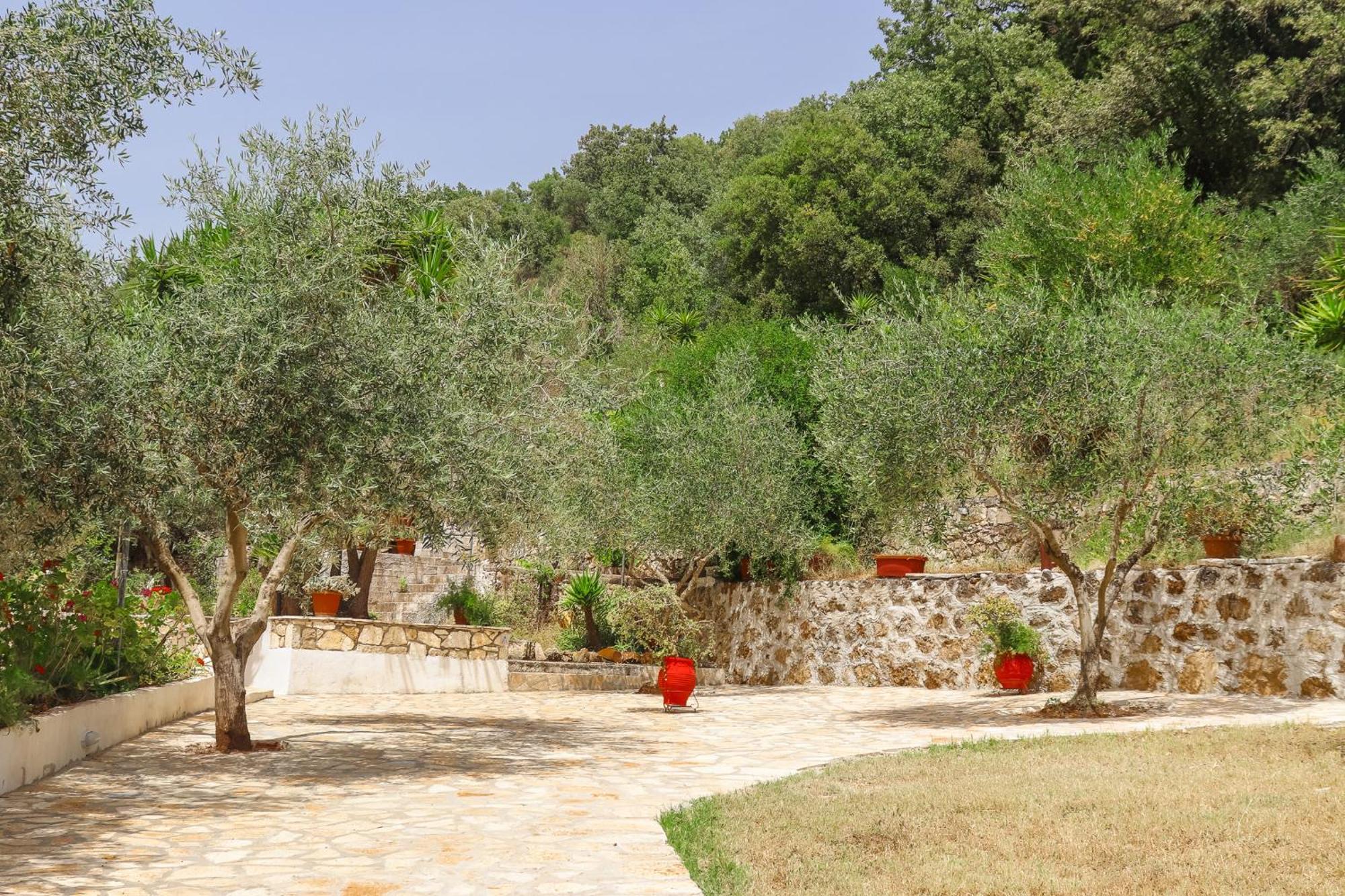 Villa Sissy Studios & Apartments Syvota Exterior foto