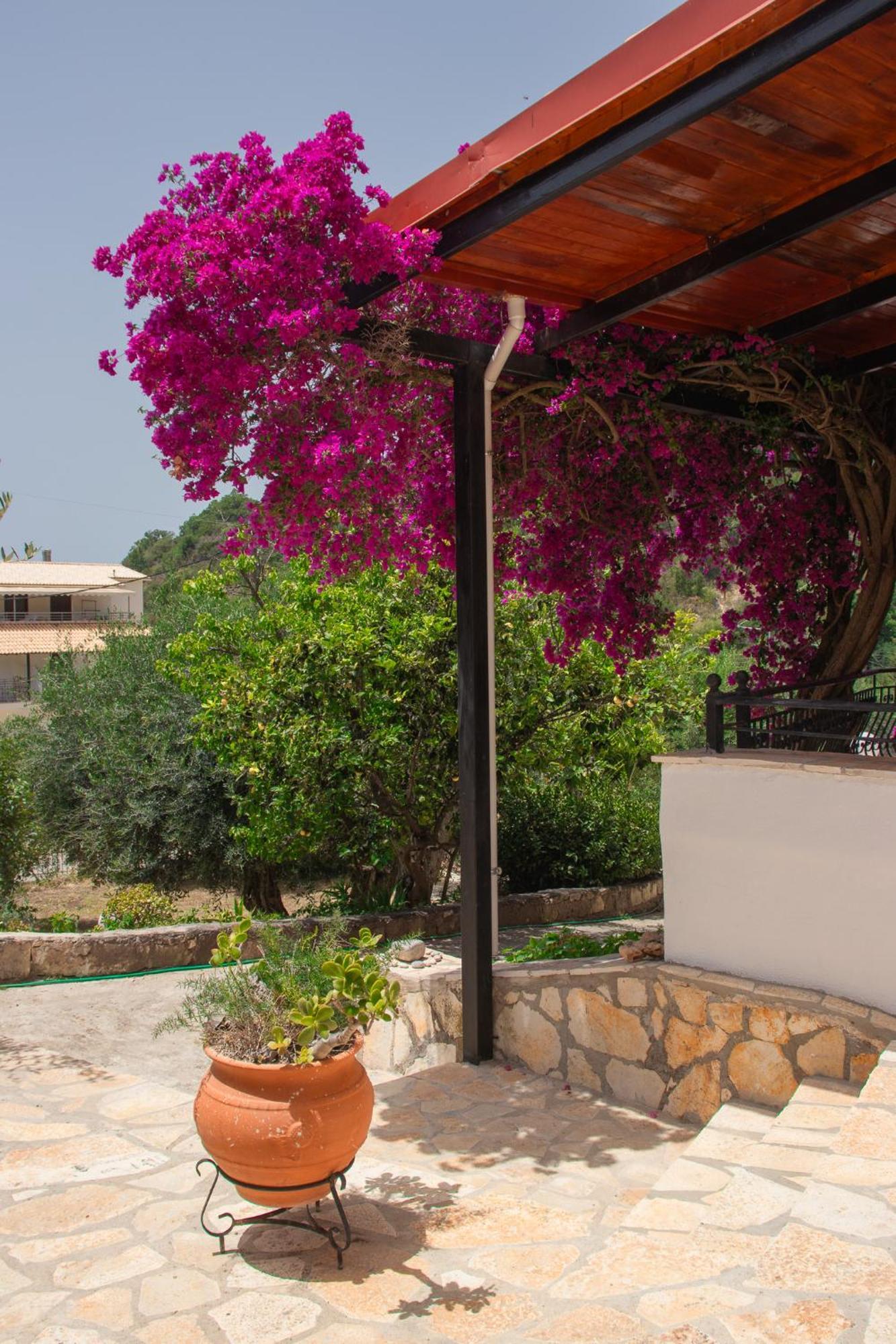 Villa Sissy Studios & Apartments Syvota Exterior foto